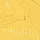 Radiant Yellow